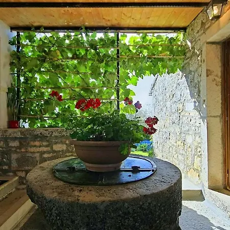Casa Fragola מלון Višnjan
